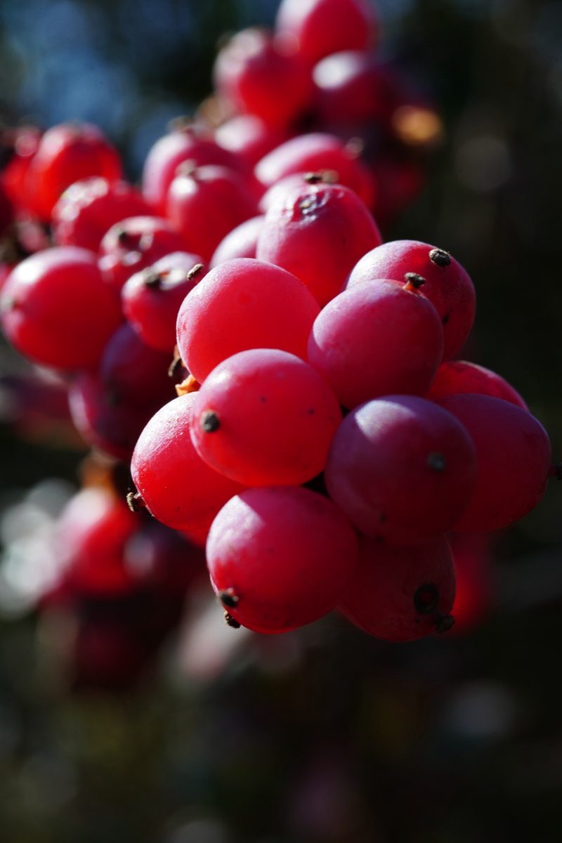 汶川玩一趟要花多少钱？这份真实账单给你算明白了！-第1张图片-阿坝旅游网